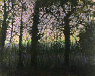 scott cunningham art